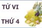 tu-vi-12-con-giap-ngay-07-02-2018