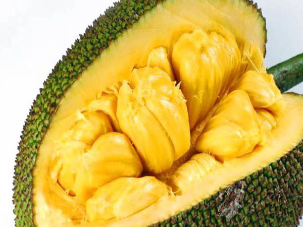 Ngủ mơ thấy quả mít tham khảo số nào đẹp?