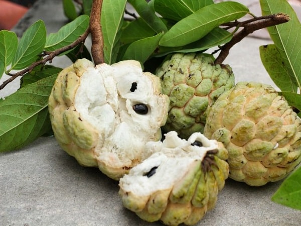 nằm mơ thấy quả na