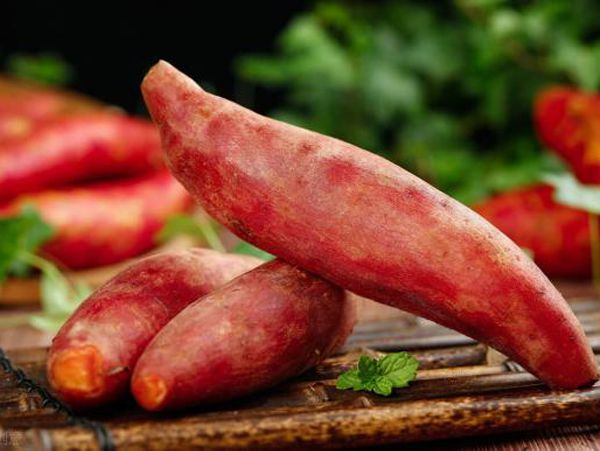 Mơ thấy khoai lang có dự cảm gì? Đánh con gì vào bờ an toàn? Mơ thấy khoai lang có dự cảm gì? Đánh con gì vào bờ an toàn?