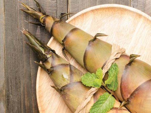 Giải mã giấc mơ thấy củ măng là điềm báo gì Giải mã giấc mơ thấy củ măng là điềm báo gì