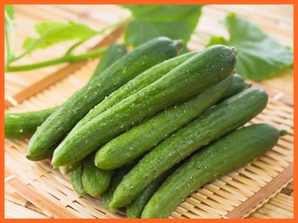 Nằm mơ thấy quả dưa chuột