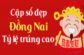 Dự đoán xổ số Đồng Nai 16/2/2022