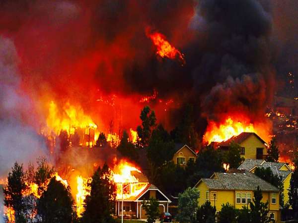 mơ thấy cháy rừng (2)