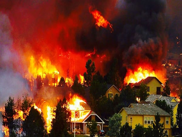 Ngủ mơ thấy cháy rừng gợi ý con số tâm linh đi kèm