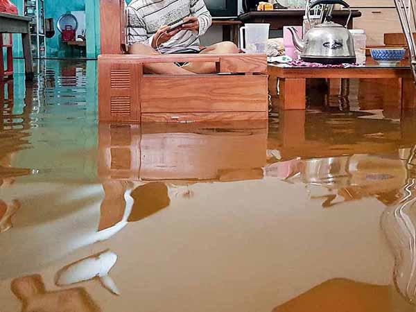 Nằm mơ thấy nước ngập nhà là điềm báo gì, đen hay đỏ? Nằm mơ thấy nước ngập nhà là điềm báo gì, đen hay đỏ?