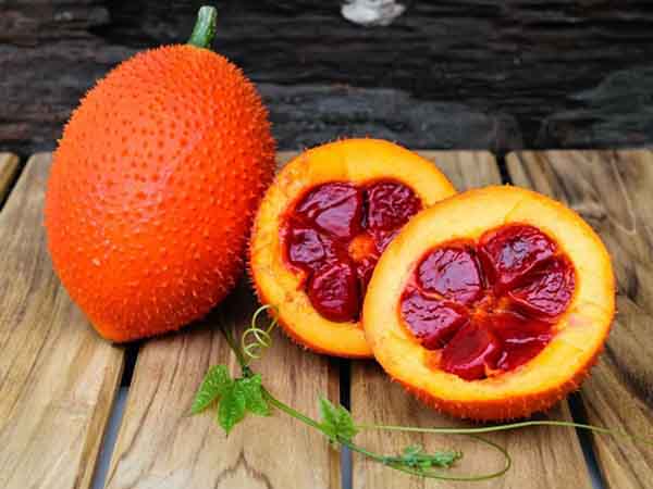Quả gấc số mấy - Nằm mơ thấy quả gấc đánh con gì
