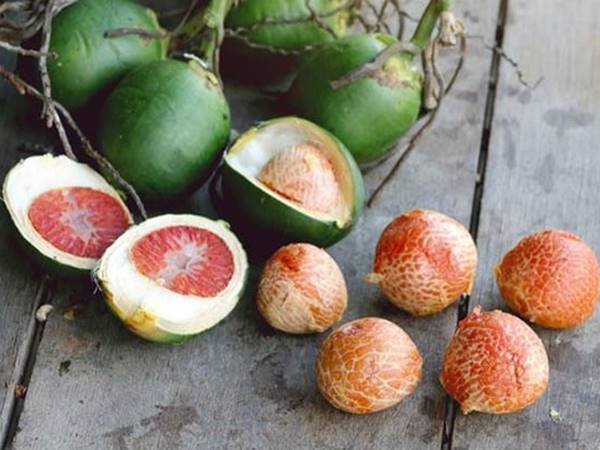 Quả cau số mấy? Mơ thấy quả cau đánh con gì