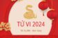 Tử vi tuổi Tân Tỵ năm 2024 nam mạng