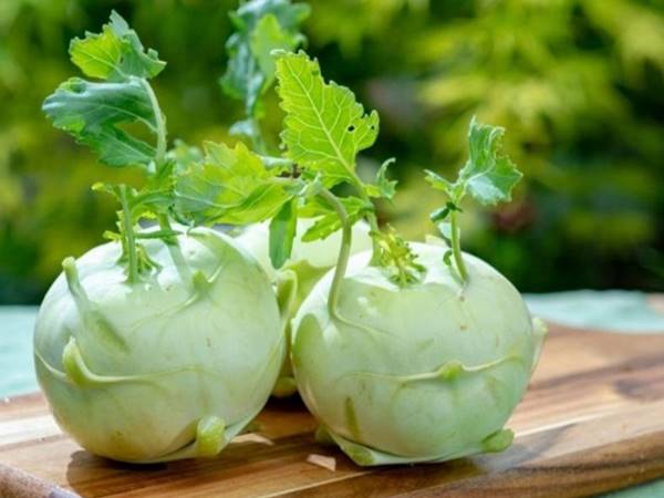 Giải mã trường hợp thấy củ su hào có điềm báo gì
