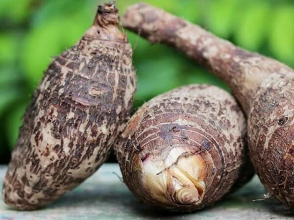 Nhìn thấy củ khoai môn có tín hiệu gì trong cuộc sống?