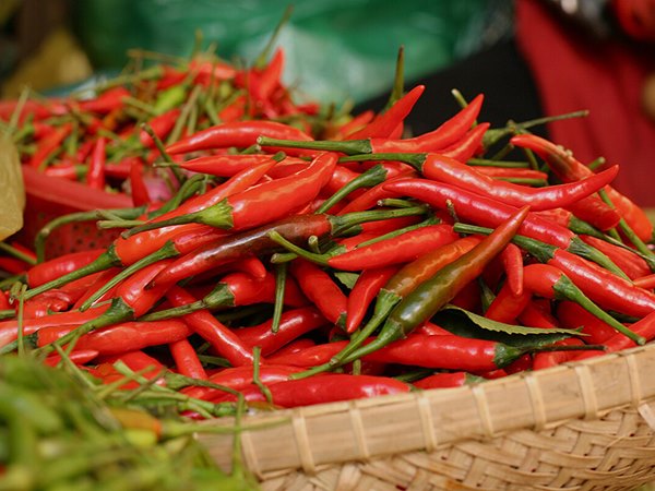 Thu hoạch quả ớt ẩn ý điềm gì về tình hình tài chính?