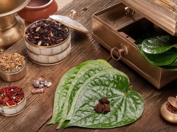 Ngủ mơ thấy lá trầu không dự báo sự nghiệp lên hương?