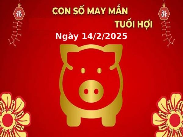 Con số đẹp tuổi hợi 14/2/2025 là gì?