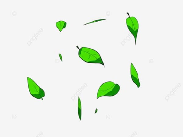 Mơ thấy lá cây xanh rụng