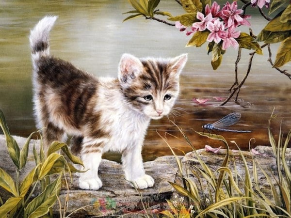 Khám phá bộ đôi con số mang đến vận may cho tuổi Mão 09/4/2025