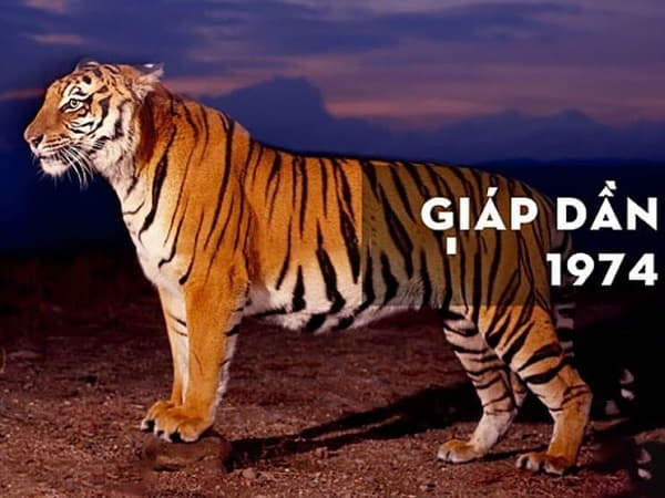 Đặc điểm phong thủy của người tuổi Dần 1974