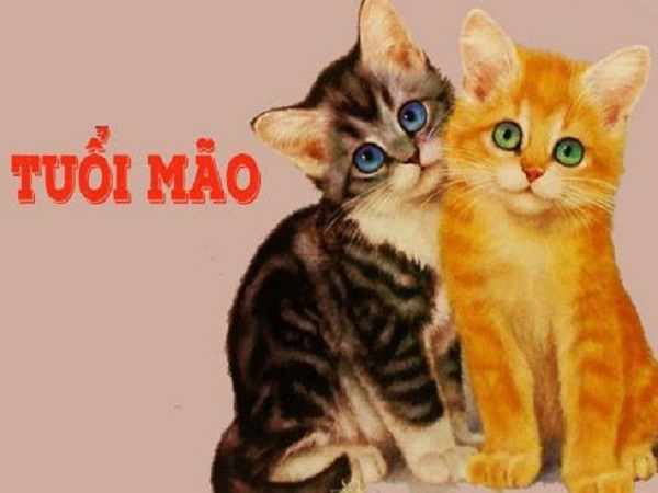 Tổng quan về người tuổi Mão