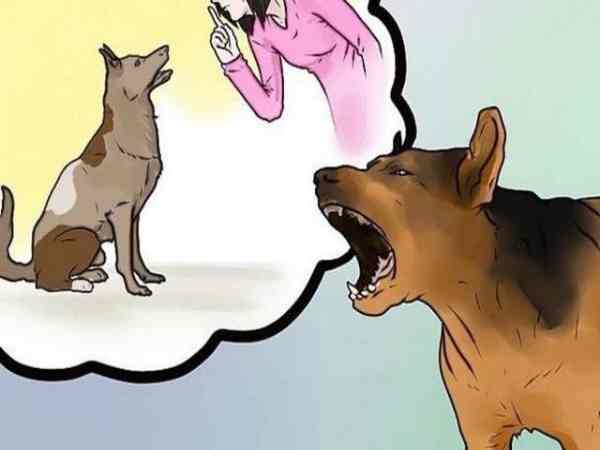 Bị chó sủa vào ban ngày – dấu hiệu của tin vui