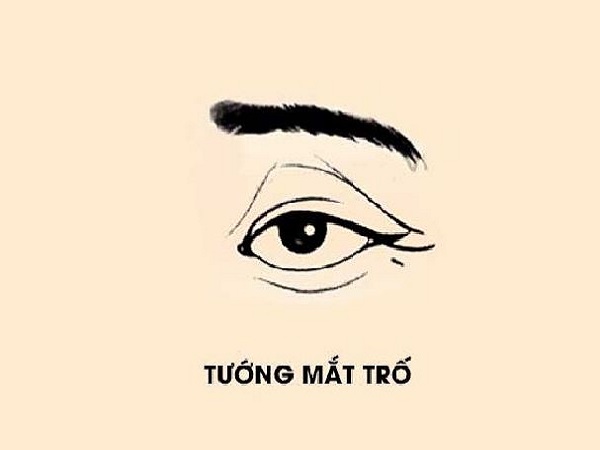 Mắt trố là gì?