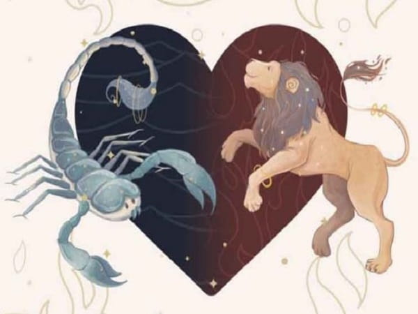 Tổng quan về cung Sư Tử và Bọ Cạp