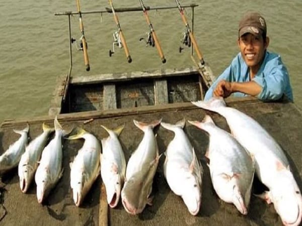 Nằm mộng thấy người khác câu được cá lớn