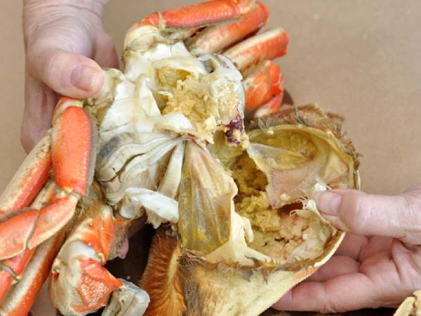 Luận giải giấc mộng thấy ăn cua theo góc nhìn khoa học