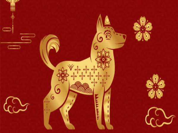 Vận trình tử vi tuổi Giáp Tuất 20/12/2025 tốt hay xấu?