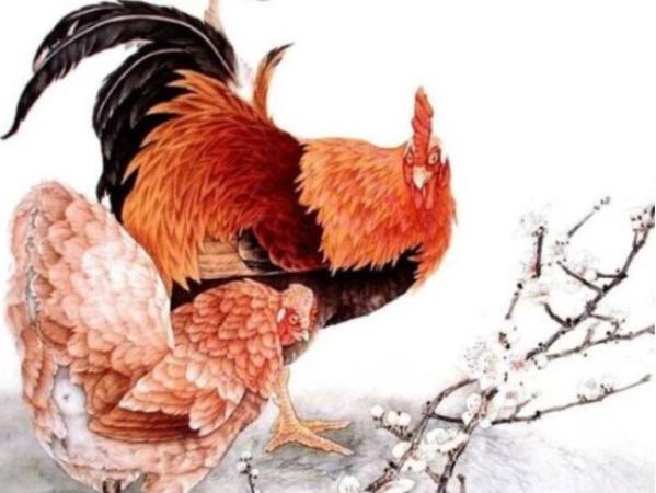 Con số may mắn ngày 14/3 tuổi Tân Dậu Thứ 7 theo ngũ hành