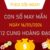 Con số may mắn ngày 16 tháng 5 năm 2026 12 cung hoàng đạo